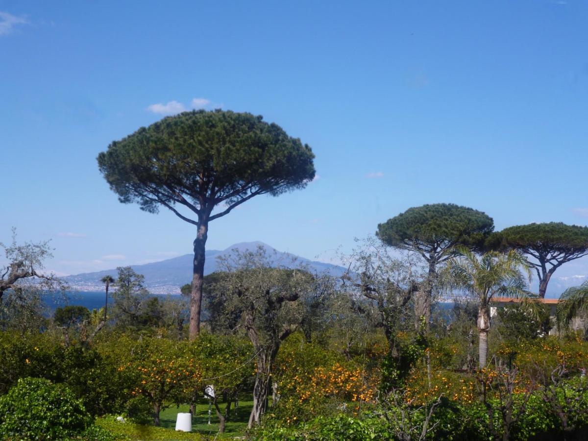 Angelina Suite B&B - Sorrento Centro Zewnętrze zdjęcie